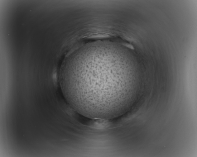 X0000089460720200706291501