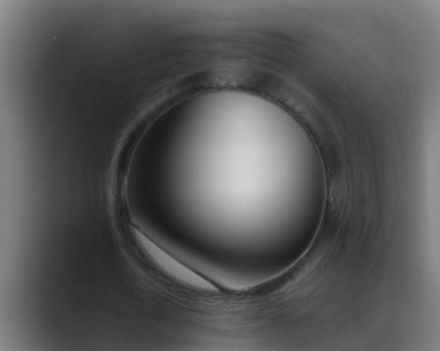 X0000089460722200706291500
