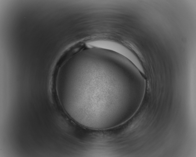 X0000089460724200706291500