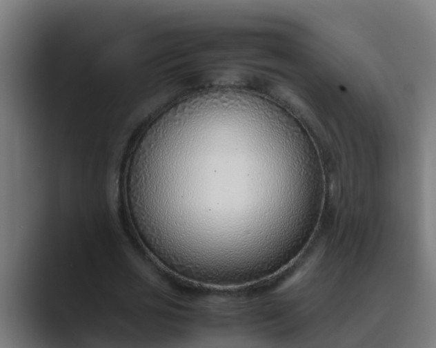 X0000089460725200706291500