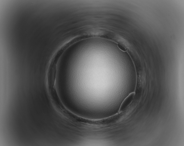 X0000089460726200706291501