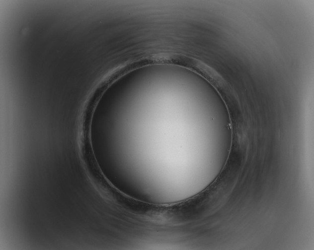 X0000089460728200706291501