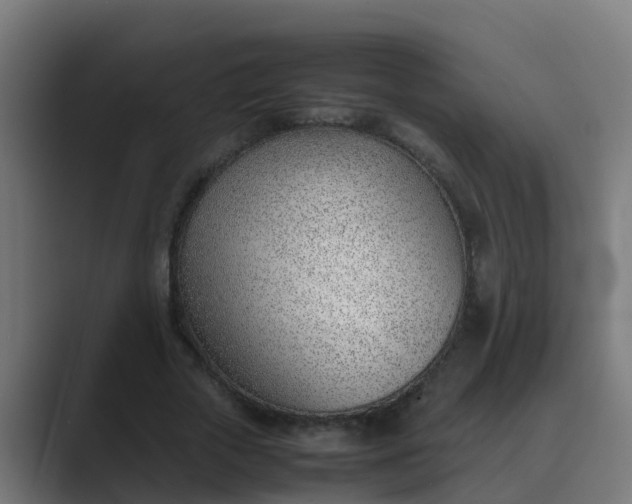 X0000089460729200706291501