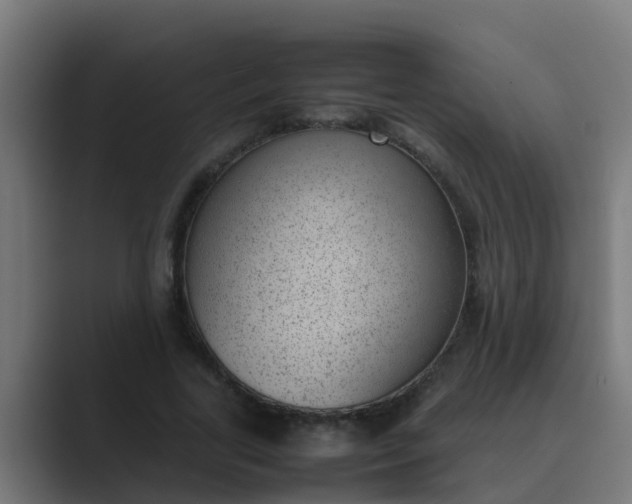 X0000089460731200706291501