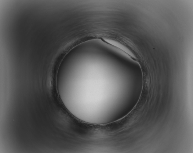 X0000089460732200706291501