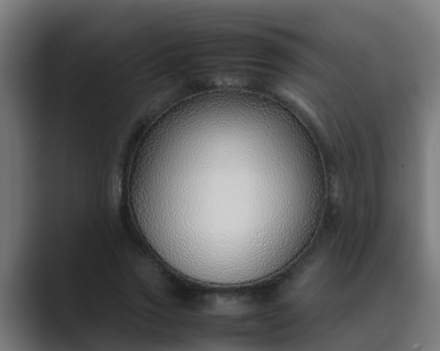 X0000089460733200706291501