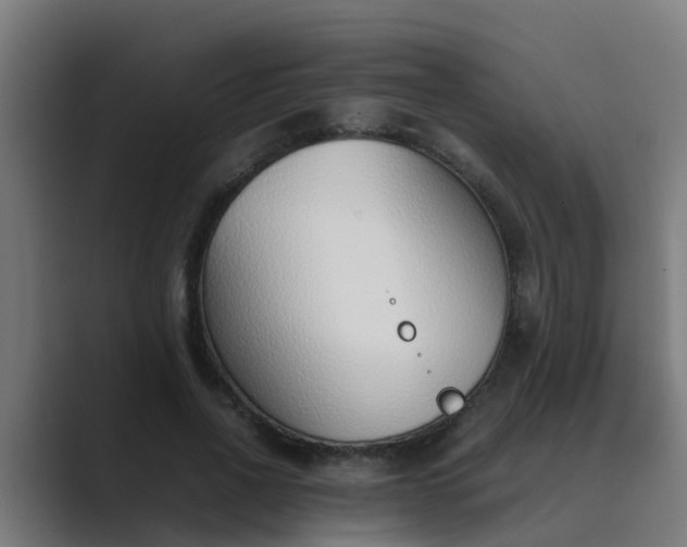 X0000089460734200706291501