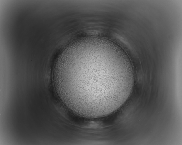 X0000089460737200706291501