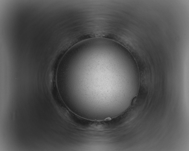 X0000089460742200706291501