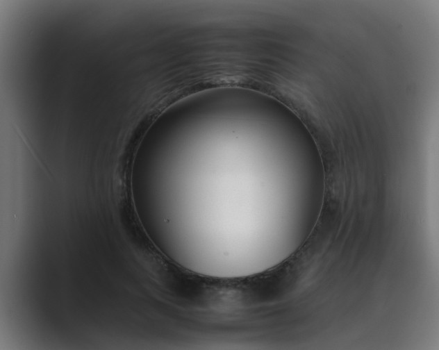 X0000089460743200706291501