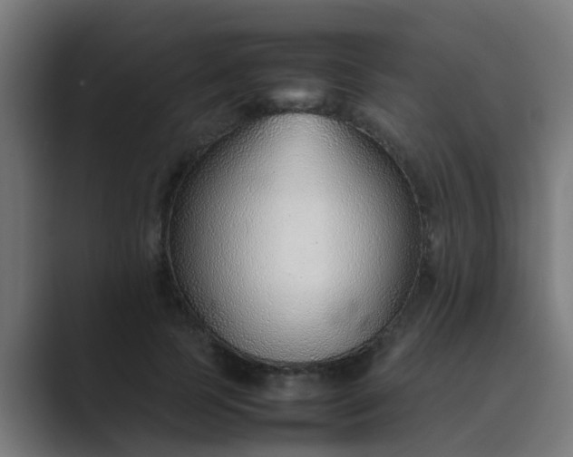 X0000089460745200706291501
