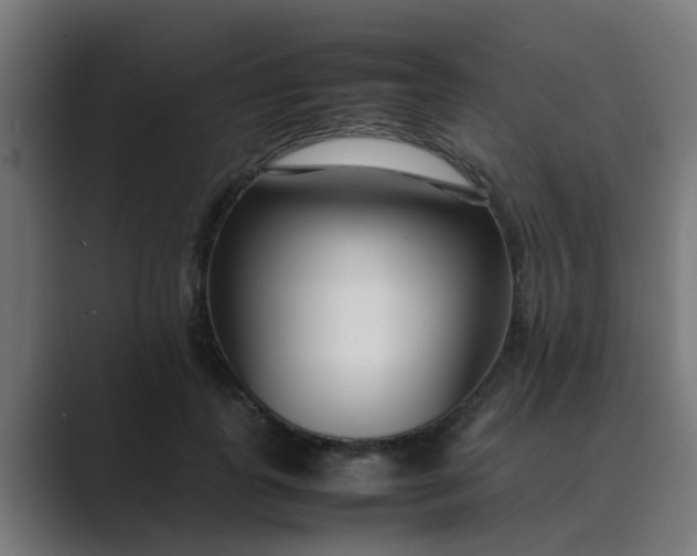 X0000089460747200706291501