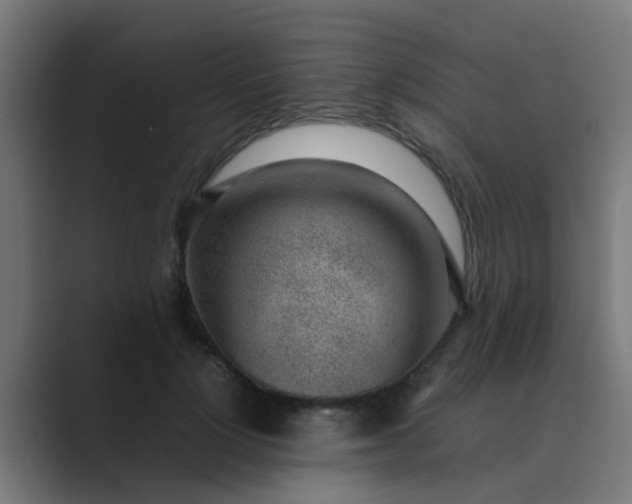 X0000089460748200706291501