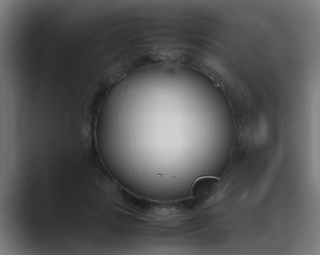 X0000089460749200706291501