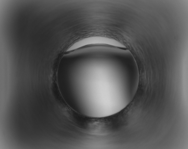 X0000089460750200706291501