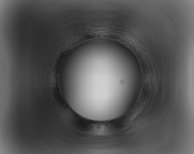 X0000089460751200706291501