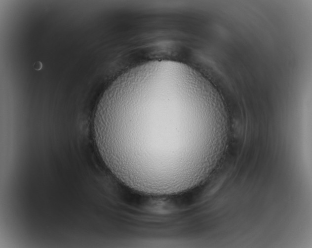 X0000089460753200706291501