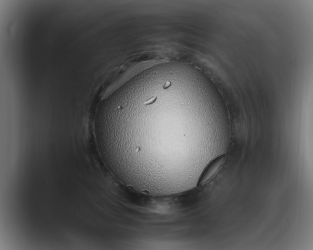 X0000089460757200706291501