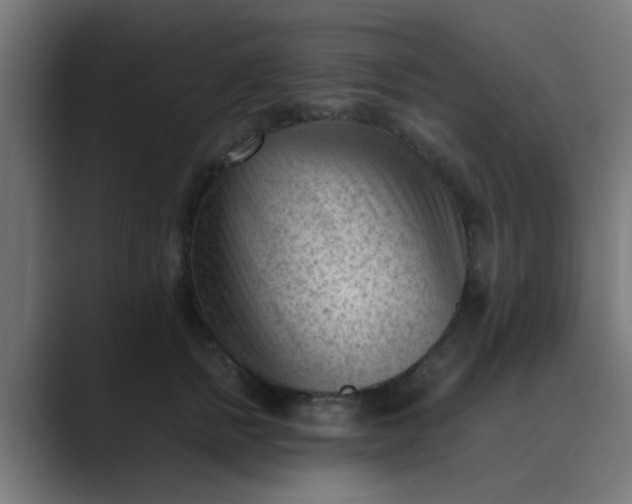 X0000089460758200706291501