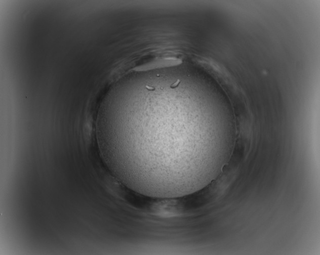 X0000089460761200706291501