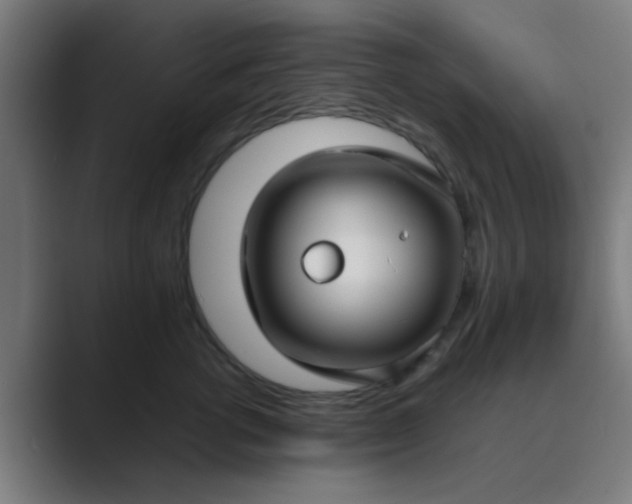 X0000089460762200706291501