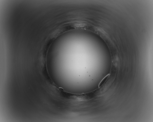 X0000089460763200706291501