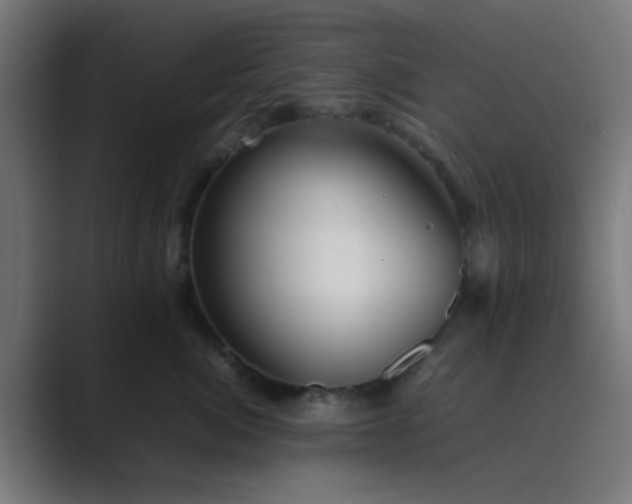 X0000089460764200706291501