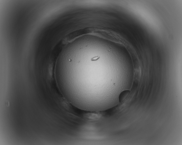 X0000089460765200706291501