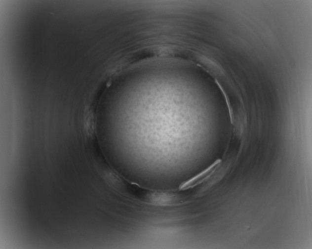 X0000089460766200706291501