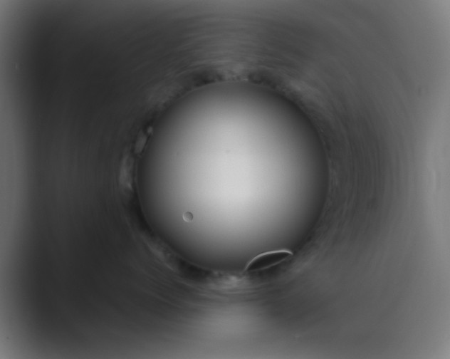 X0000089460768200706291501
