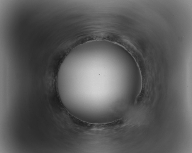 X0000089460773200706291500