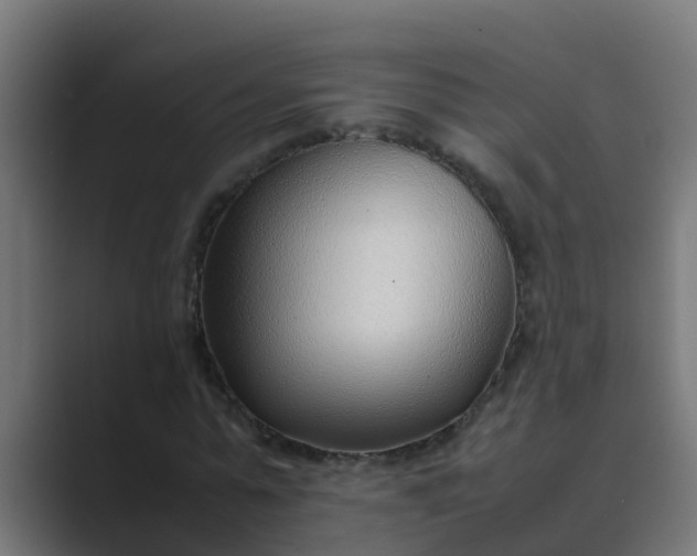 X0000089460775200706291500