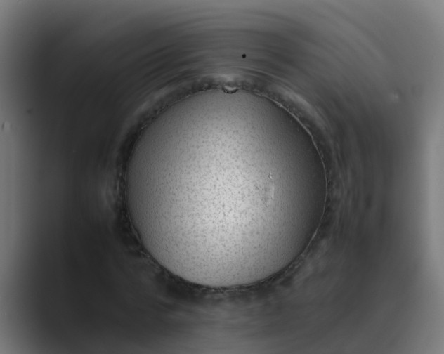 X0000089460776200706291500
