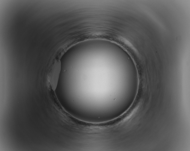 X0000089460777200706291500
