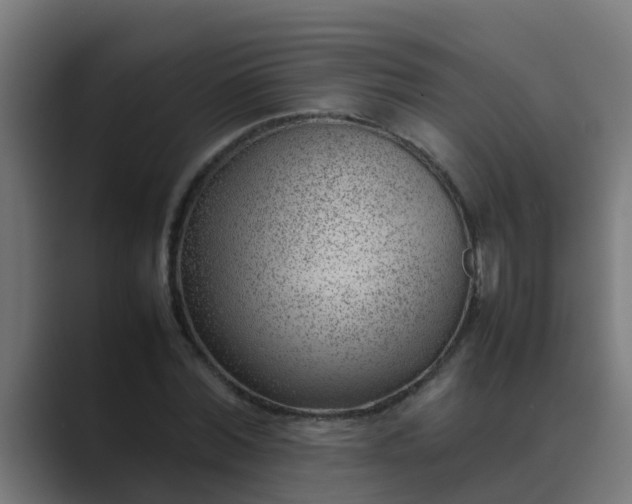 X0000089460780200706291500