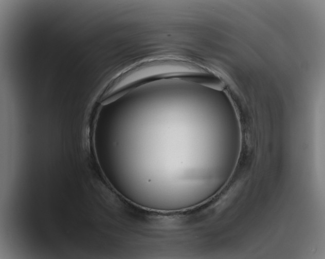 X0000089460781200706291500