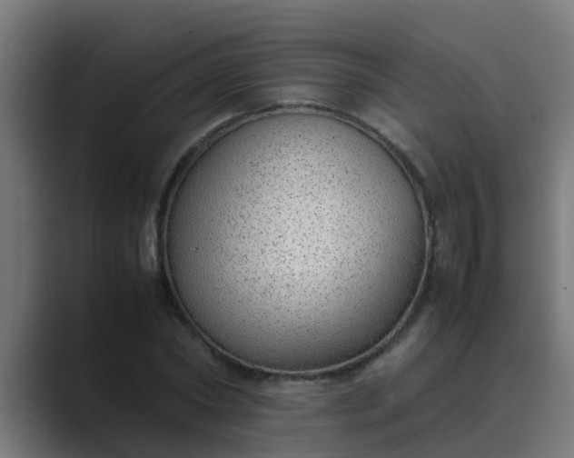 X0000089460782200706291500