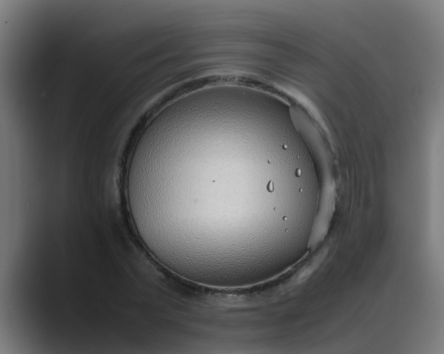X0000089460783200706291500