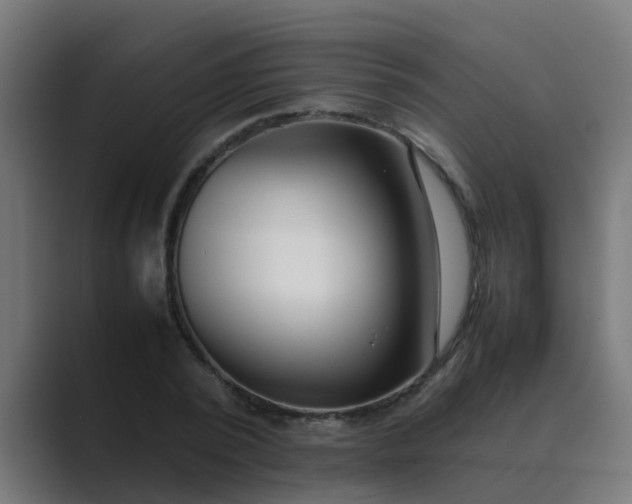 X0000089460784200706291500