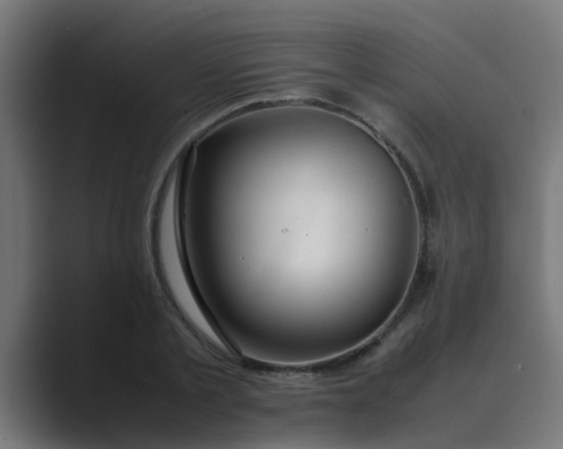 X0000089460789200706291500