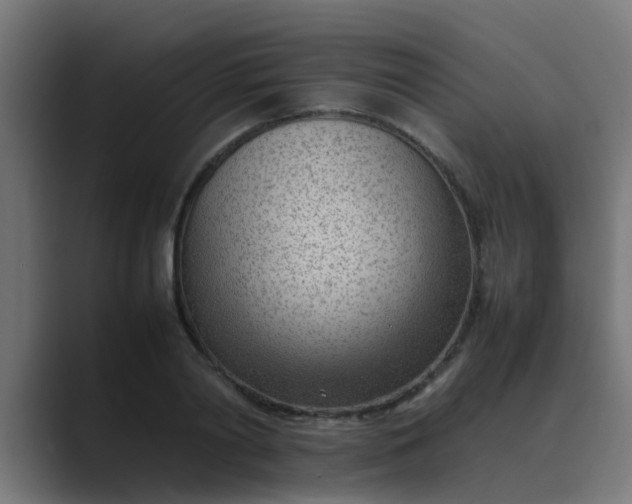 X0000089460790200706291500
