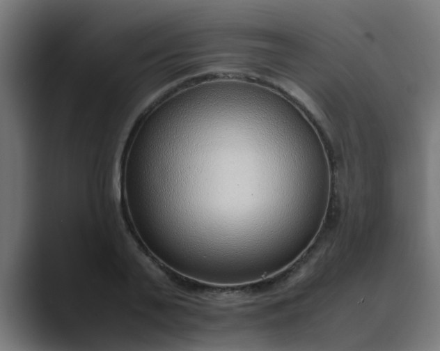 X0000089460791200706291500