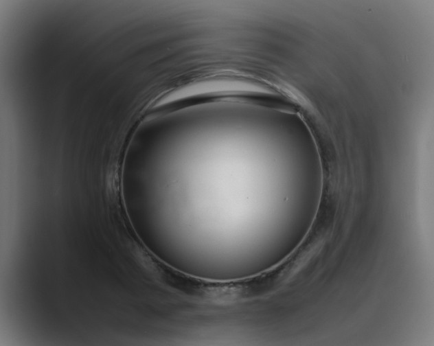X0000089460793200706291500