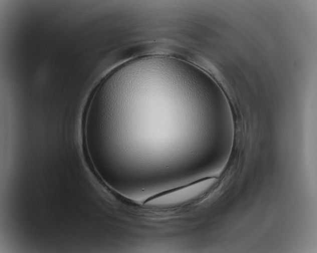 X0000089460795200706291500