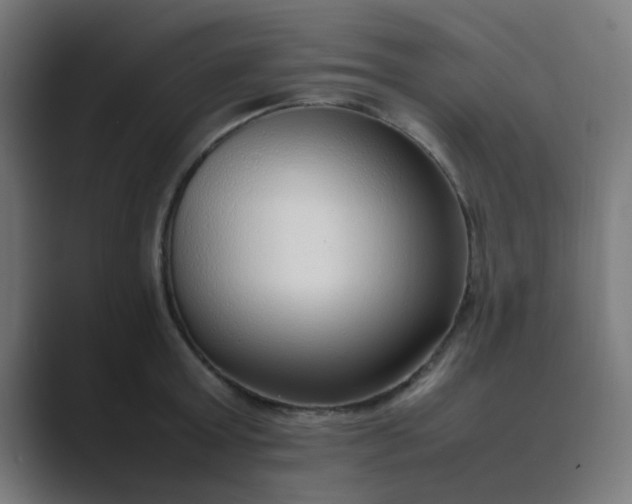 X0000089460803200706291500