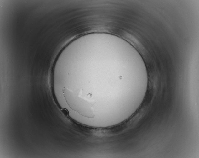 X0000089460804200706291500