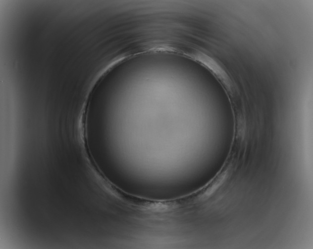 X0000089460806200706291500