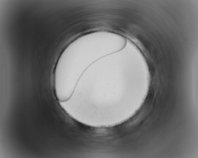 X0000089460807200706291500