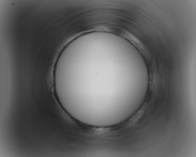 X0000089460808200706291500