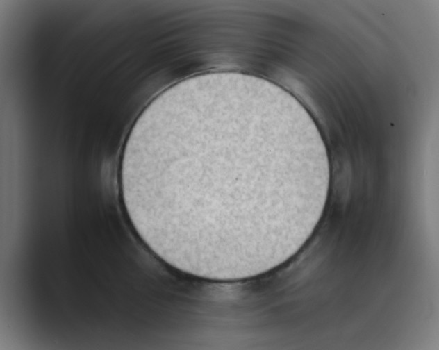 X0000089460810200706291500